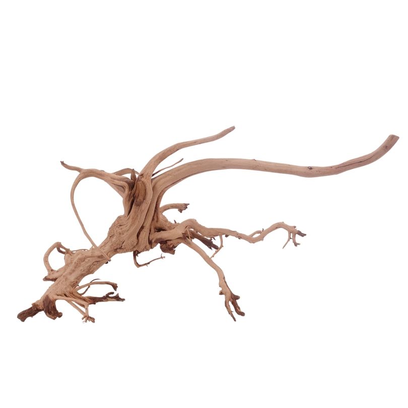 L Siennawurzel Nr.3271 Wurzel Holz Aquarium Deko Aquascaping