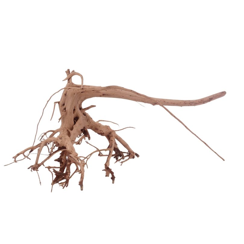 L Siennawurzel Nr.3272 Wurzel Holz Aquarium Deko Aquascaping