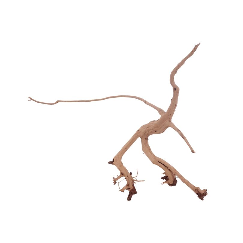 L Siennawurzel Nr.3273 Wurzel Holz Aquarium Deko Aquascaping