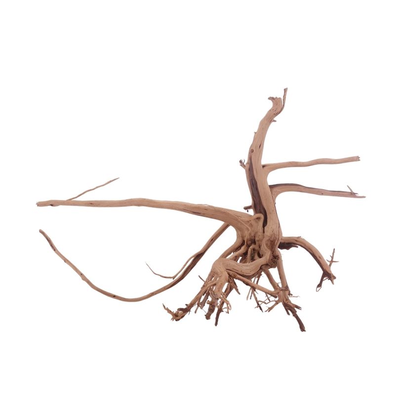 L Siennawurzel Nr.3274 Wurzel Holz Aquarium Deko Aquascaping