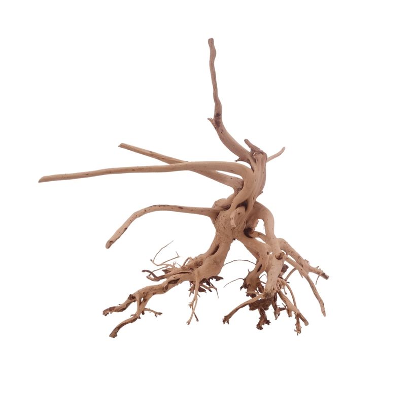 L Siennawurzel Nr.3275 Wurzel Holz Aquarium Deko Aquascaping