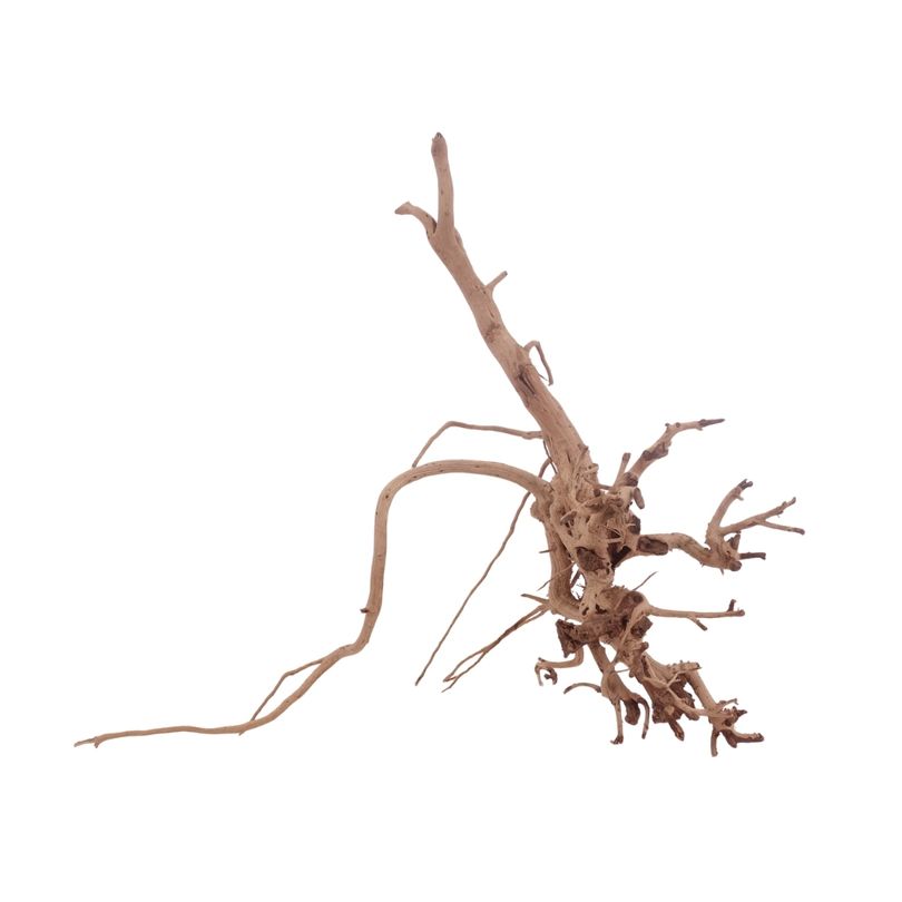 L Siennawurzel Nr.3276 Wurzel Holz Aquarium Deko Aquascaping