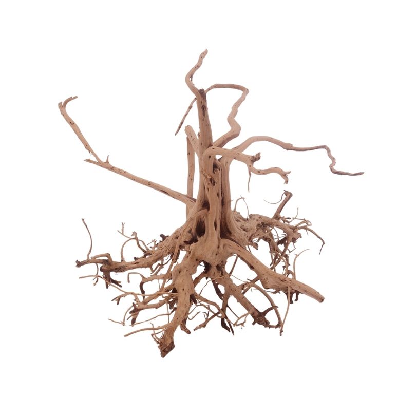 L Siennawurzel Nr.3277 Wurzel Holz Aquarium Deko Aquascaping