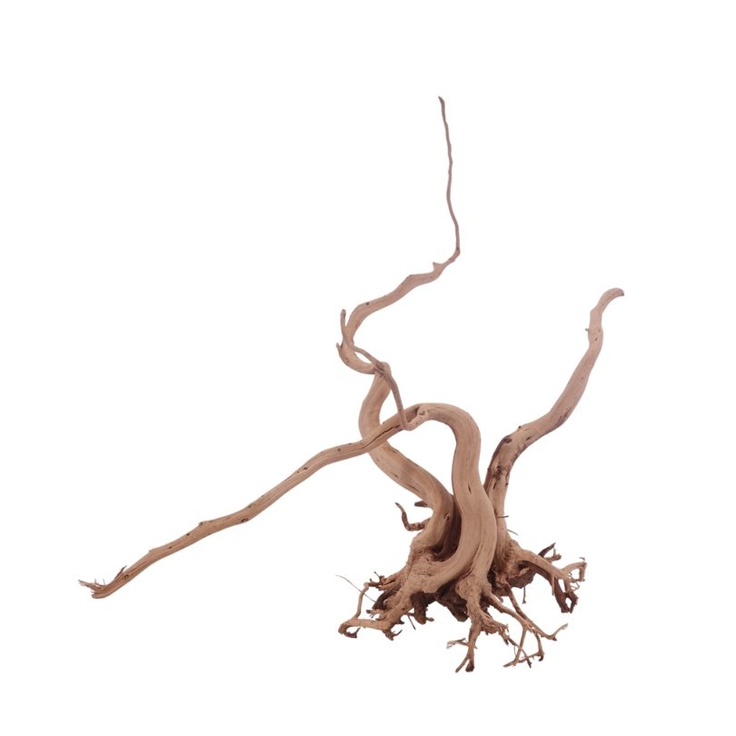 L Siennawurzel Nr.3279 Wurzel Holz Aquarium Deko Aquascaping
