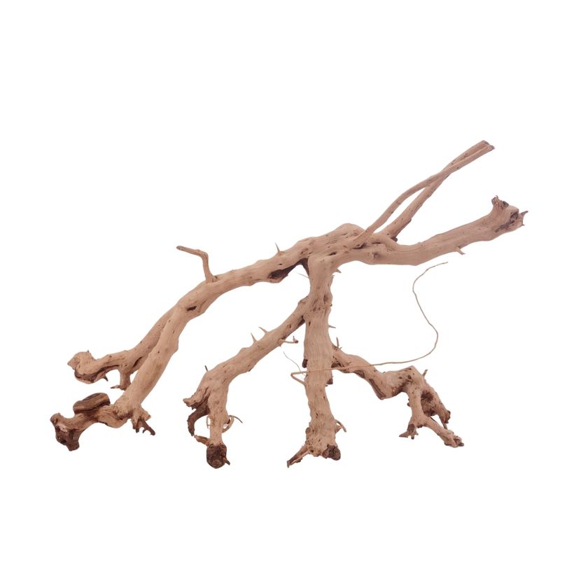 L Siennawurzel Nr.3281 Wurzel Holz Aquarium Deko Aquascaping