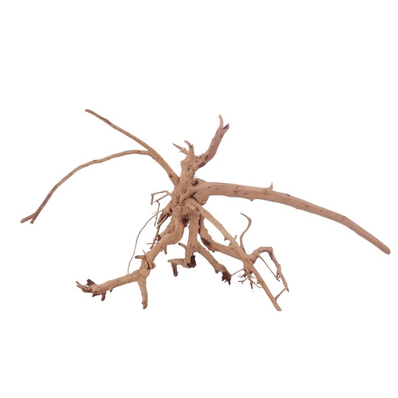 L Siennawurzel Nr.3282 Wurzel Holz Aquarium Deko Aquascaping