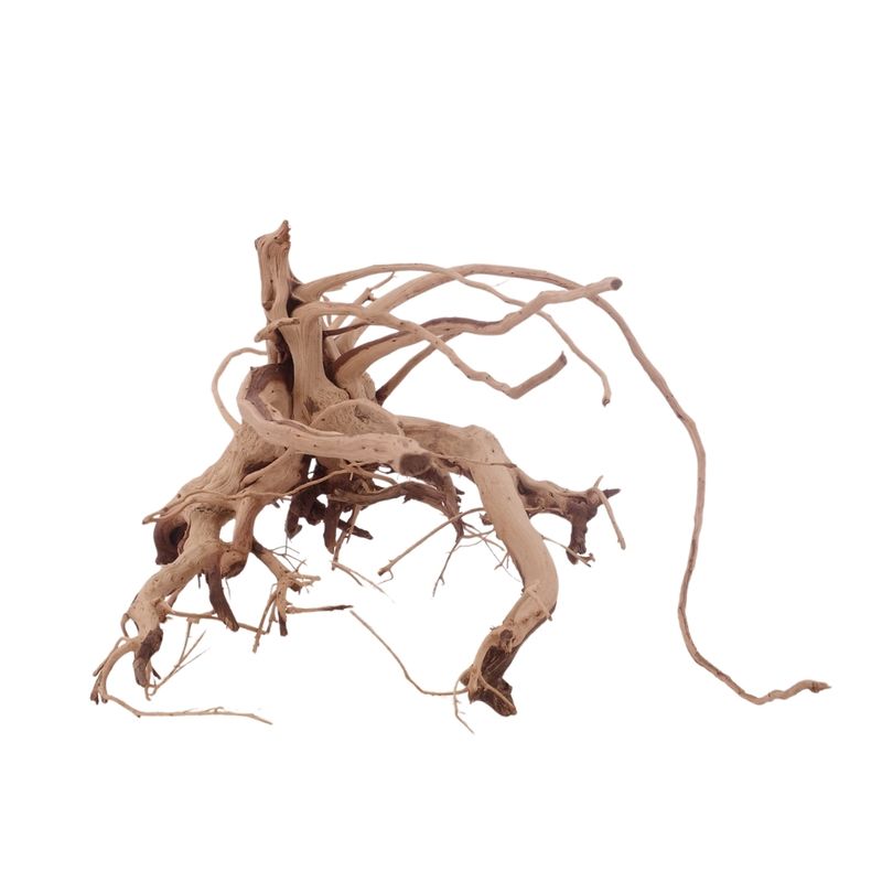L Siennawurzel Nr.3283 Wurzel Holz Aquarium Deko Aquascaping