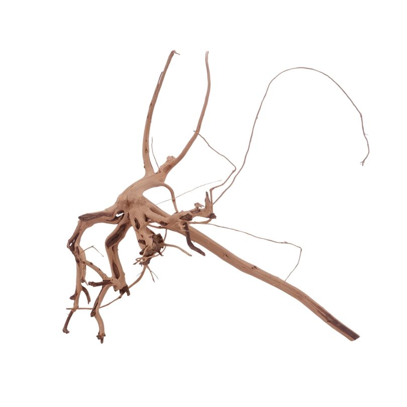 L Siennawurzel Nr.3284 Wurzel Holz Aquarium Deko Aquascaping