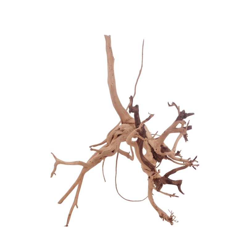 L Siennawurzel Nr.3285 Wurzel Holz Aquarium Deko Aquascaping