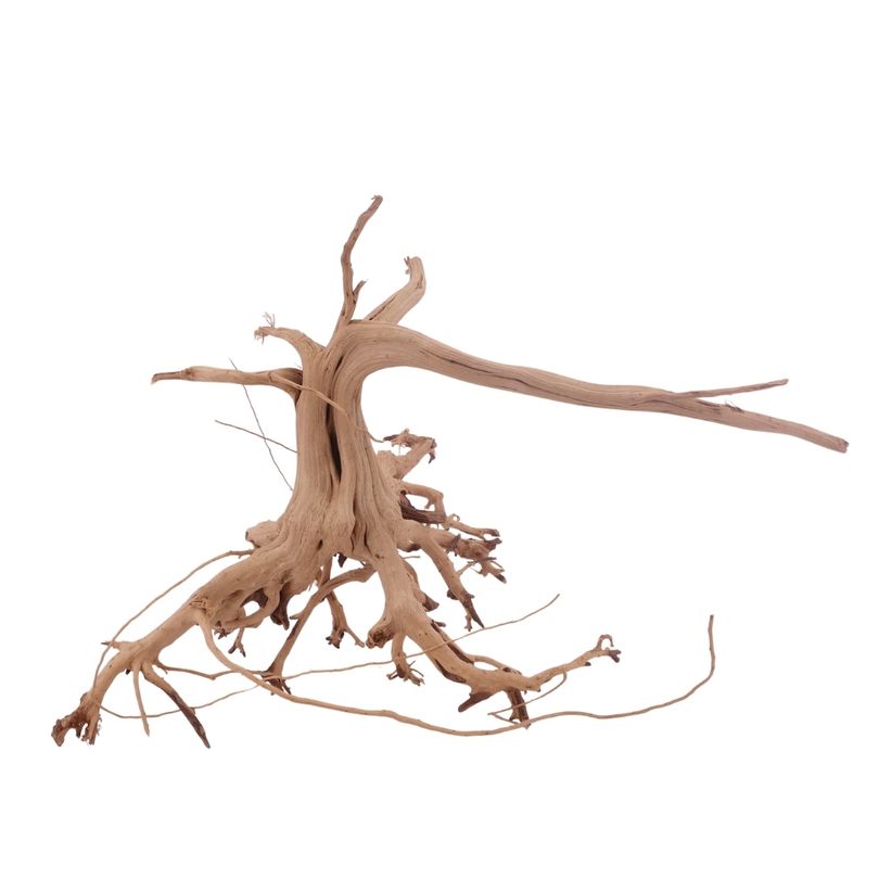 L Siennawurzel Nr.3286 Wurzel Holz Aquarium Deko Aquascaping