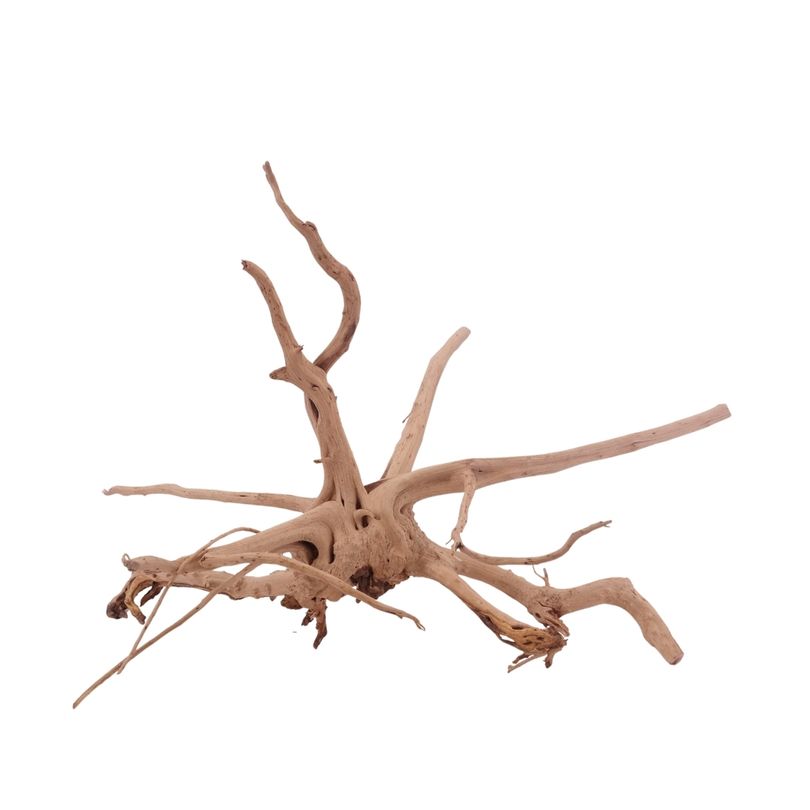 L Siennawurzel Nr.3287 Wurzel Holz Aquarium Deko Aquascaping