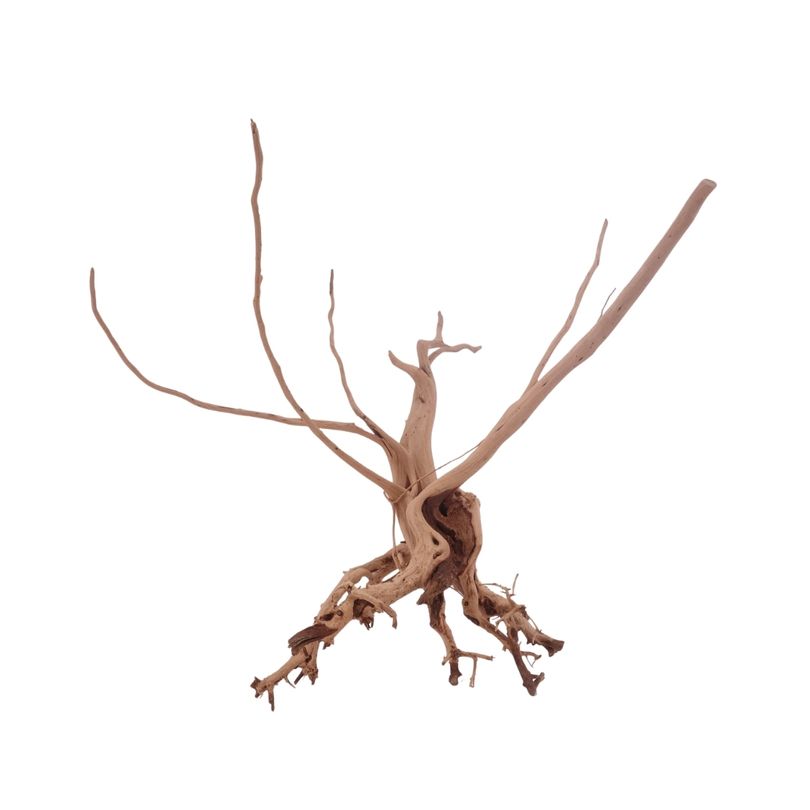 L Siennawurzel Nr.3288 Wurzel Holz Aquarium Deko Aquascaping