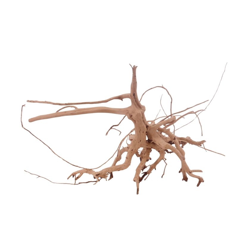 L Siennawurzel Nr.3289 Wurzel Holz Aquarium Deko Aquascaping