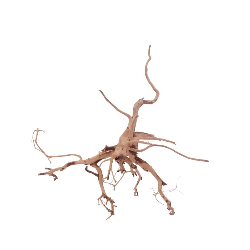 L Siennawurzel Nr.3291 Wurzel Holz Aquarium Deko Aquascaping