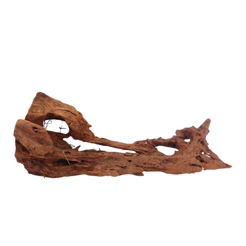 L Mangrovenwurzel Nr.3354 Holz Deko Aquascaping
