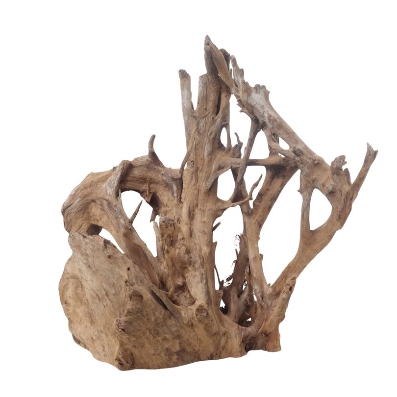 XL Mangrovenwurzel Nr.3371 Holz Deko Aquascaping