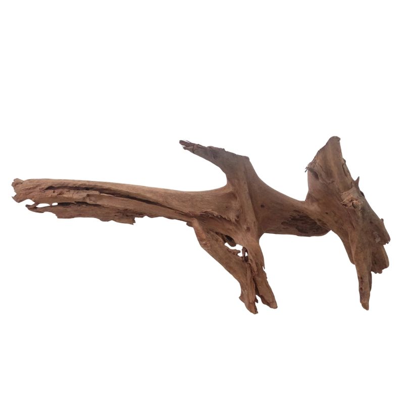 XL Mangrovenwurzel Nr.3377 Holz Deko Aquascaping