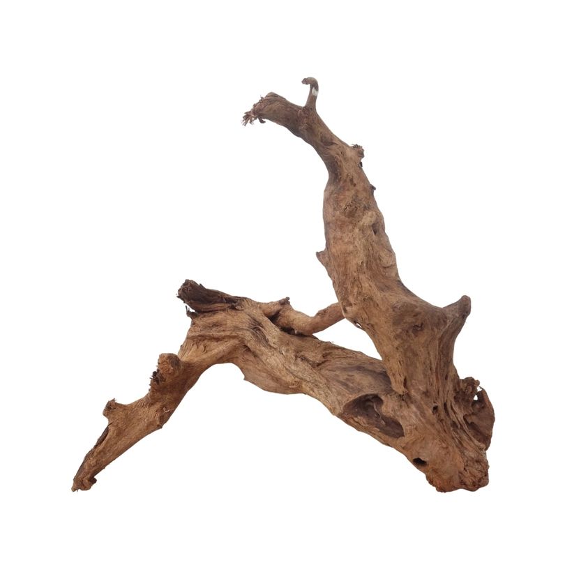 XL Mangrovenwurzel Nr.3395 Holz Deko Aquascaping