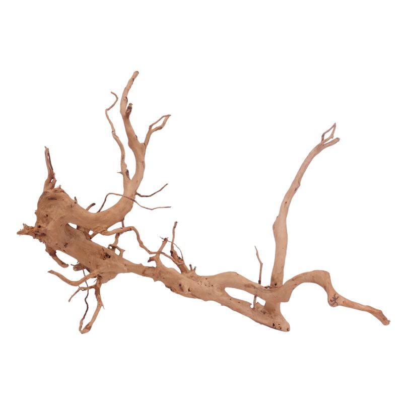 XXL Moorkienwurzel Nr.3481 Holz Deko Aquascaping