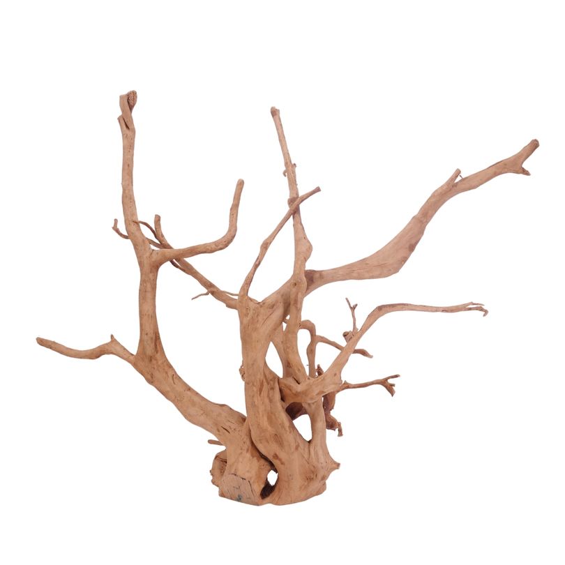 XXL Moorkienwurzel Nr.3482 Holz Deko Aquascaping