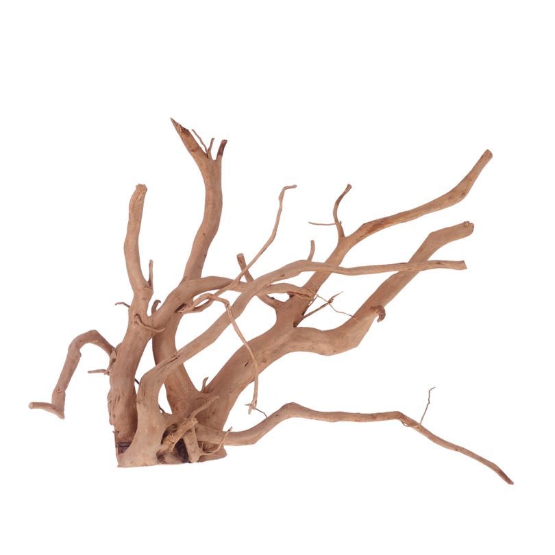 XXL Moorkienwurzel Nr.3483 Holz Deko Aquascaping