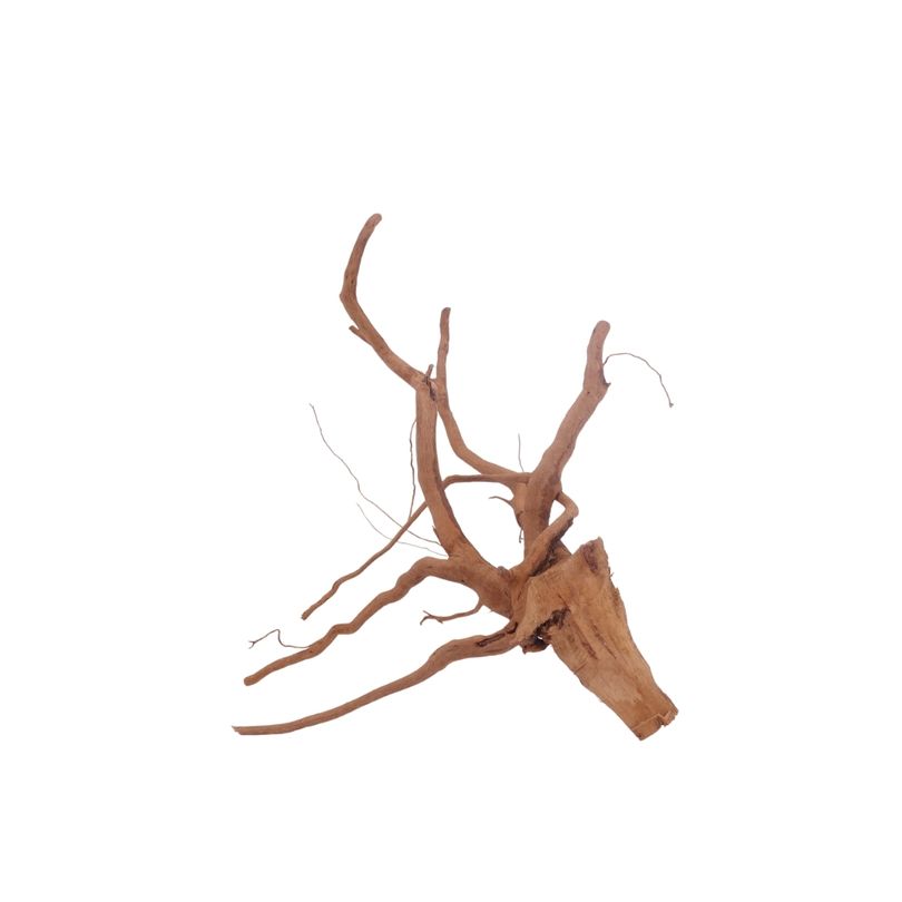 M Moorkienwurzel Nr.3404 Holz Deko Aquascaping