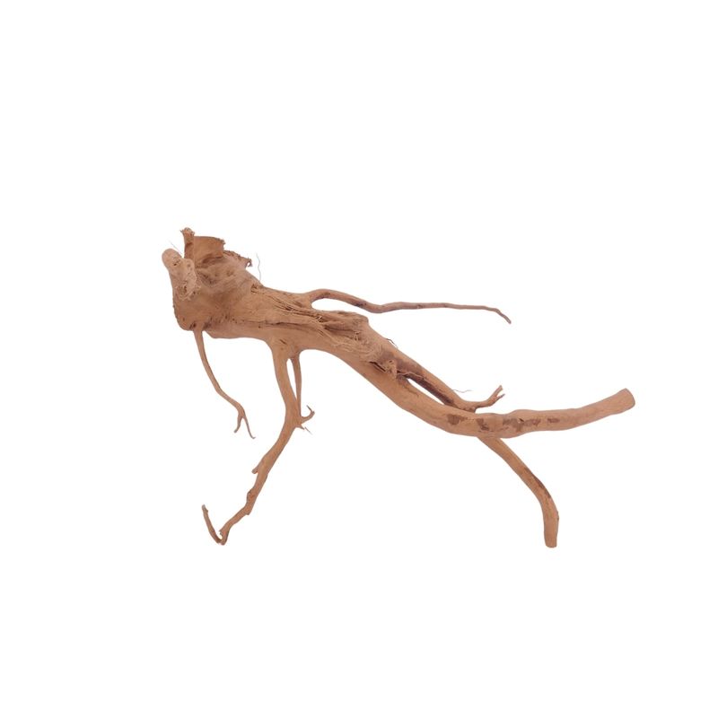  M Moorkienwurzel Nr.3419 Holz Deko Aquascaping