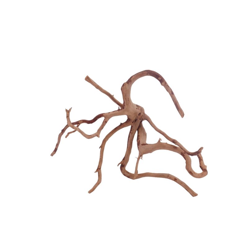  M Moorkienwurzel Nr.3422 Holz Deko Aquascaping