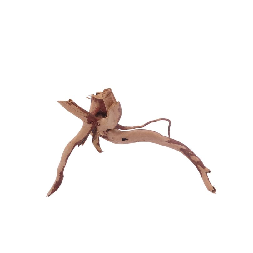  M Moorkienwurzel Nr.3424 Holz Deko Aquascaping