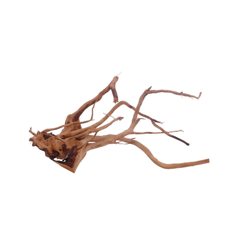  M Moorkienwurzel Nr.3425 Holz Deko Aquascaping