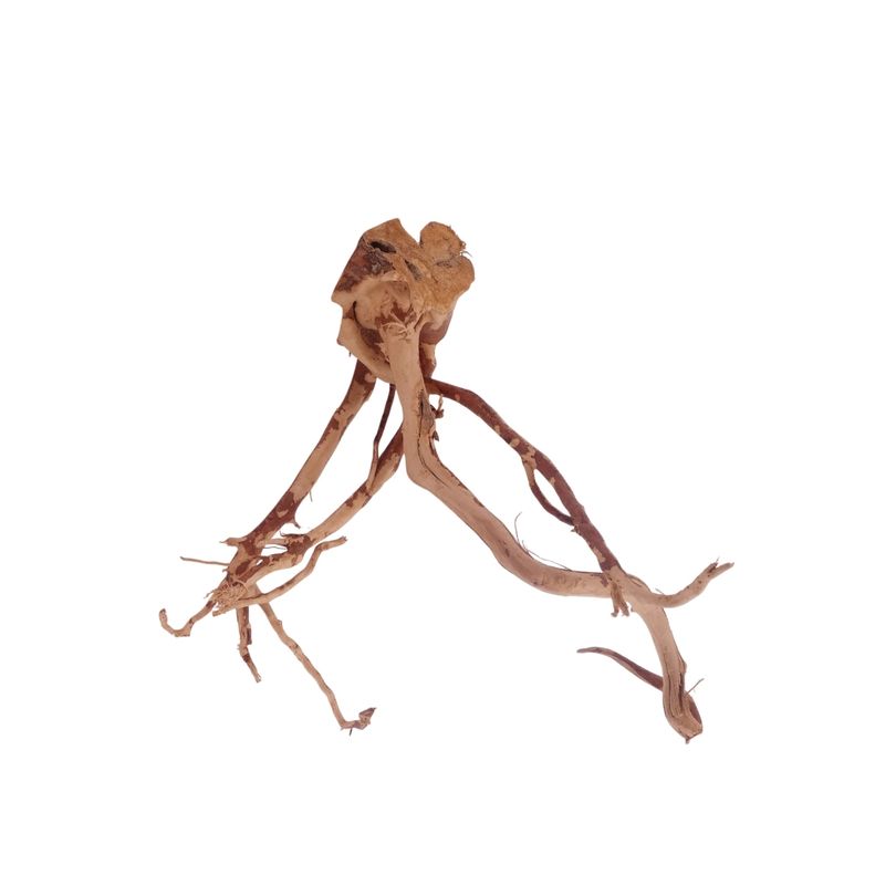  M Moorkienwurzel Nr.3427 Holz Deko Aquascaping