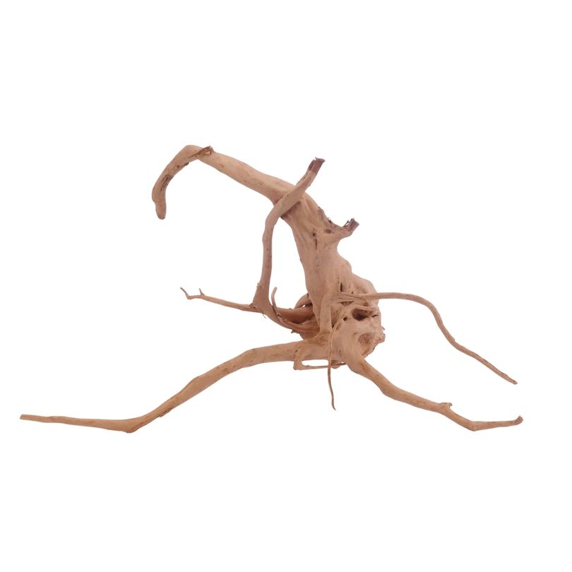 L Moorkienwurzel  Nr.3446 Fingerwurzel Echtholz Deko Aquascaping 