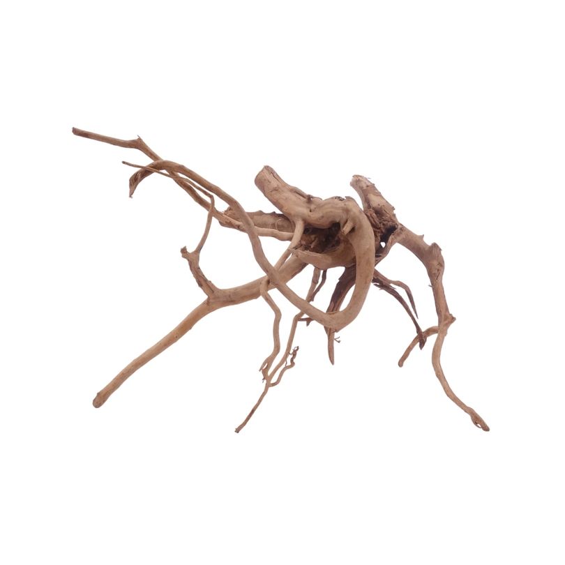L Moorkienwurzel  Nr.3447 Fingerwurzel Echtholz Deko Aquascaping 