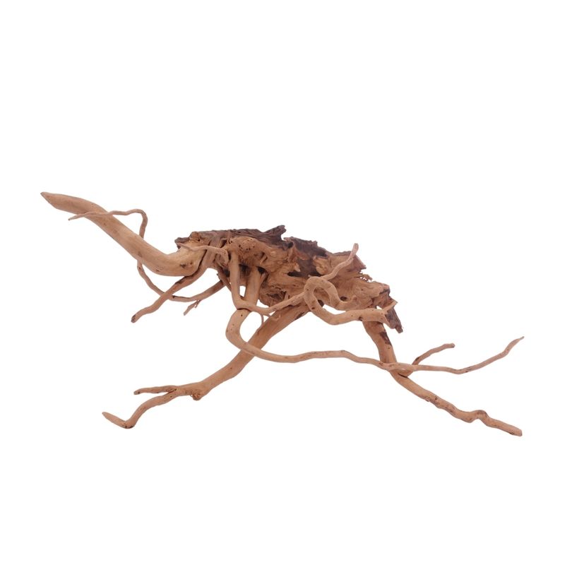 L Moorkienwurzel  Nr.3450 Fingerwurzel Echtholz Deko Aquascaping 