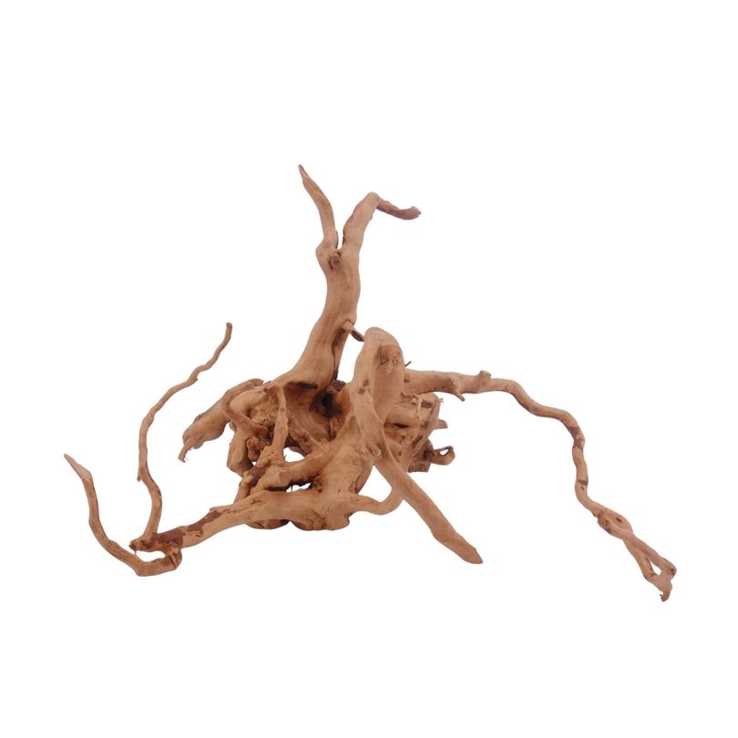 L Moorkienwurzel  Nr.3452 Fingerwurzel Echtholz Deko Aquascaping 