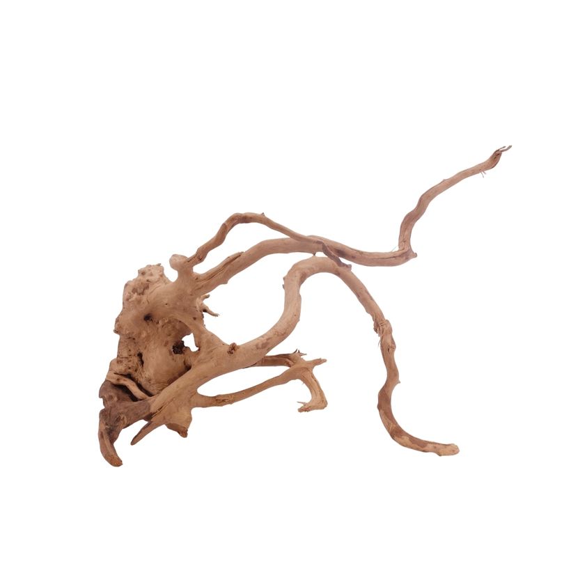 L Moorkienwurzel  Nr.3453 Fingerwurzel Echtholz Deko Aquascaping 