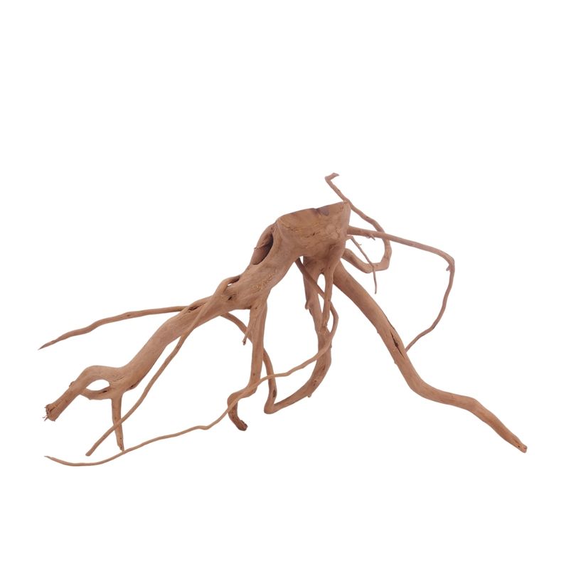 L Moorkienwurzel  Nr.3454 Fingerwurzel Echtholz Deko Aquascaping 