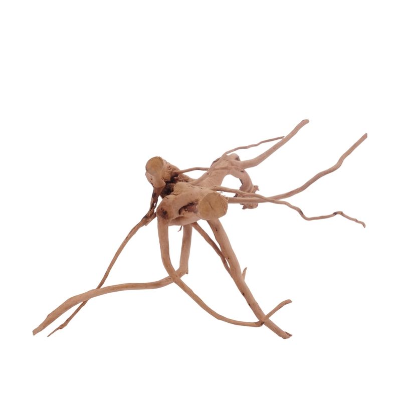 L Moorkienwurzel  Nr.3455 Fingerwurzel Echtholz Deko Aquascaping 