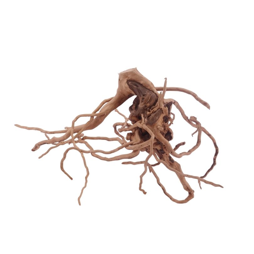 L Moorkienwurzel  Nr.3458 Fingerwurzel Echtholz Deko Aquascaping 