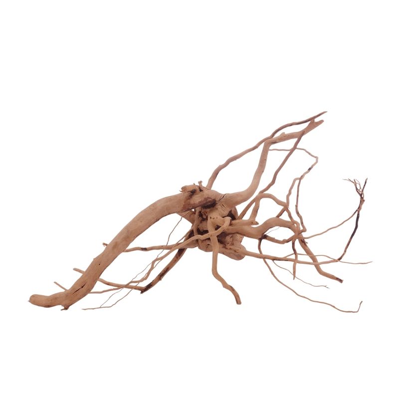 L Moorkienwurzel  Nr.3460 Fingerwurzel Echtholz Deko Aquascaping 