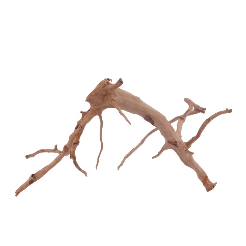 L Moorkienwurzel  Nr.3461 Fingerwurzel Echtholz Deko Aquascaping 