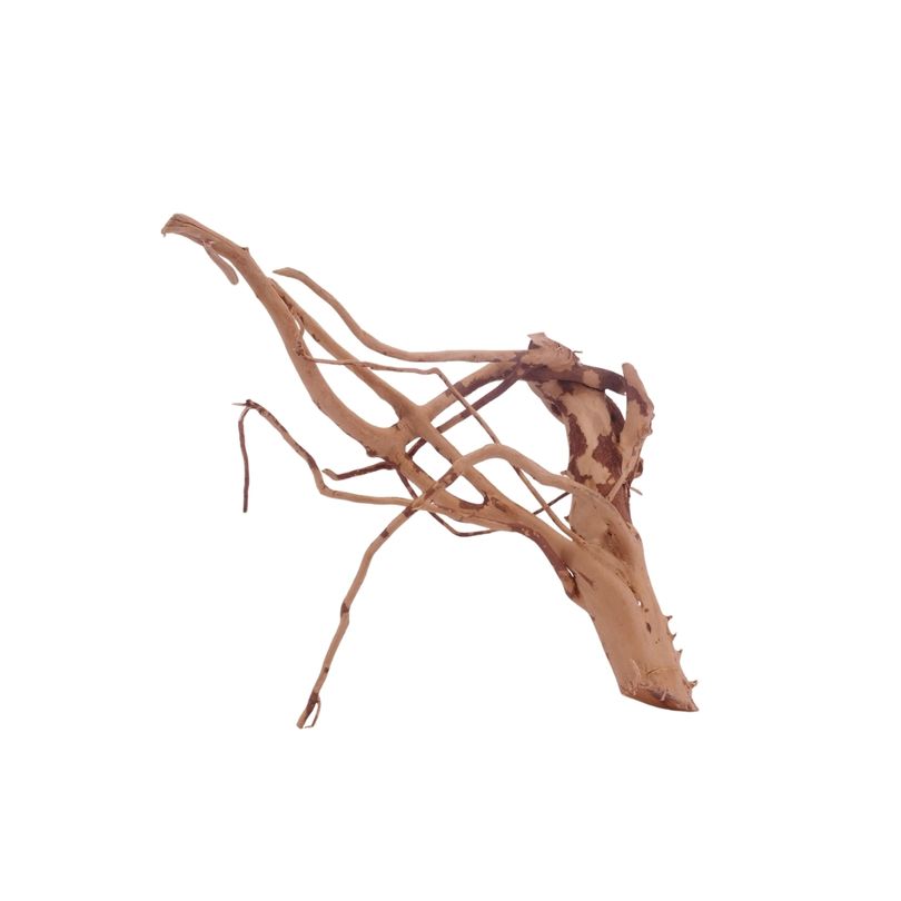 L Moorkienwurzel  Nr.3462 Fingerwurzel Echtholz Deko Aquascaping 