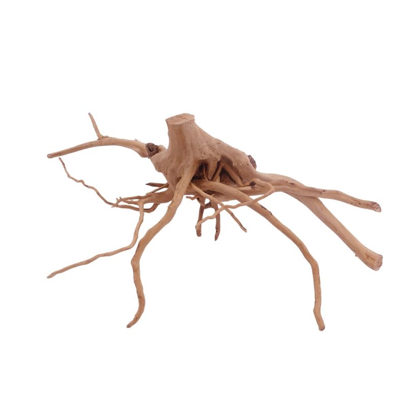 L Moorkienwurzel  Nr.3463 Fingerwurzel Echtholz Deko Aquascaping 