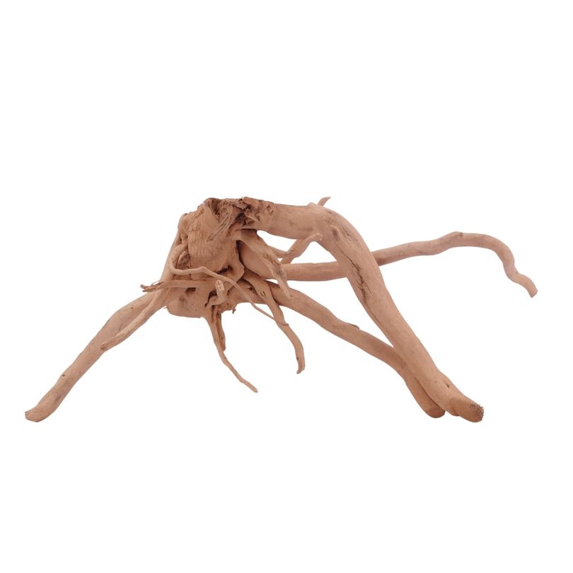 L Moorkienwurzel  Nr.3465 Fingerwurzel Echtholz Deko Aquascaping 