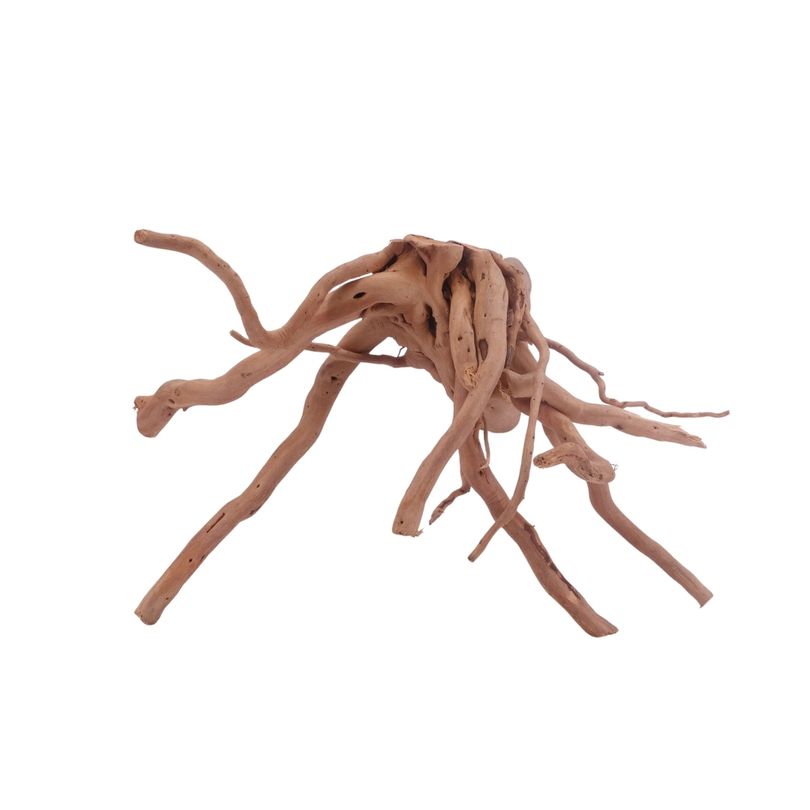 L Moorkienwurzel  Nr.3467 Fingerwurzel Echtholz Deko Aquascaping 