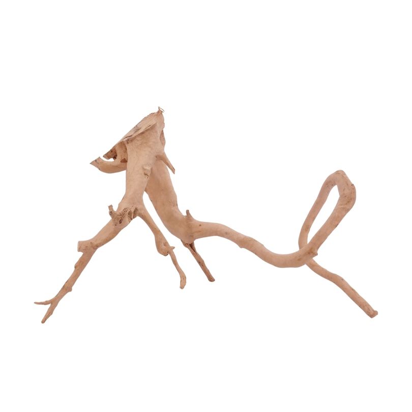 L Moorkienwurzel  Nr.3469 Fingerwurzel Echtholz Deko Aquascaping 