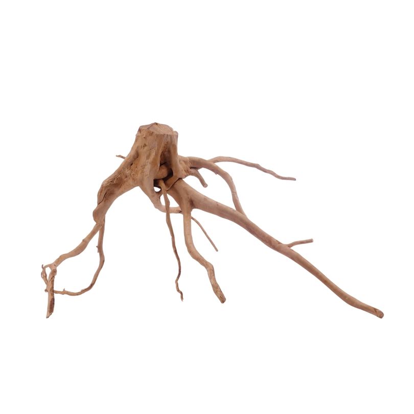 L Moorkienwurzel  Nr.3471 Fingerwurzel Echtholz Deko Aquascaping 