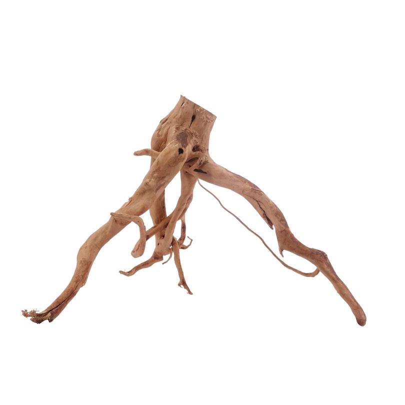 L Moorkienwurzel  Nr.3473 Fingerwurzel Echtholz Deko Aquascaping 