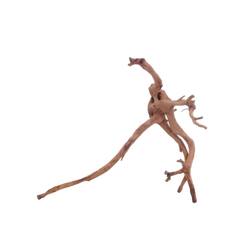 L Moorkienwurzel  Nr.3474 Fingerwurzel Echtholz Deko Aquascaping 