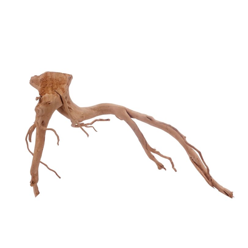 L Moorkienwurzel  Nr.3475 Fingerwurzel Echtholz Deko Aquascaping 